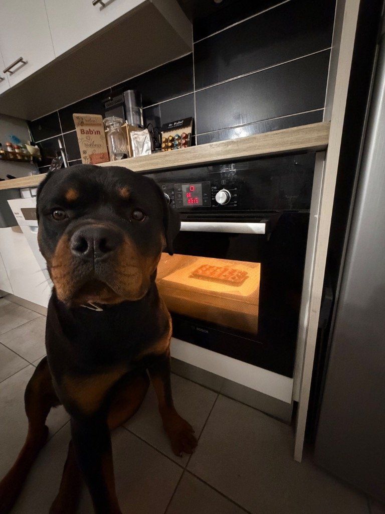 Aston et ses petits moelleux de Thierry Marx