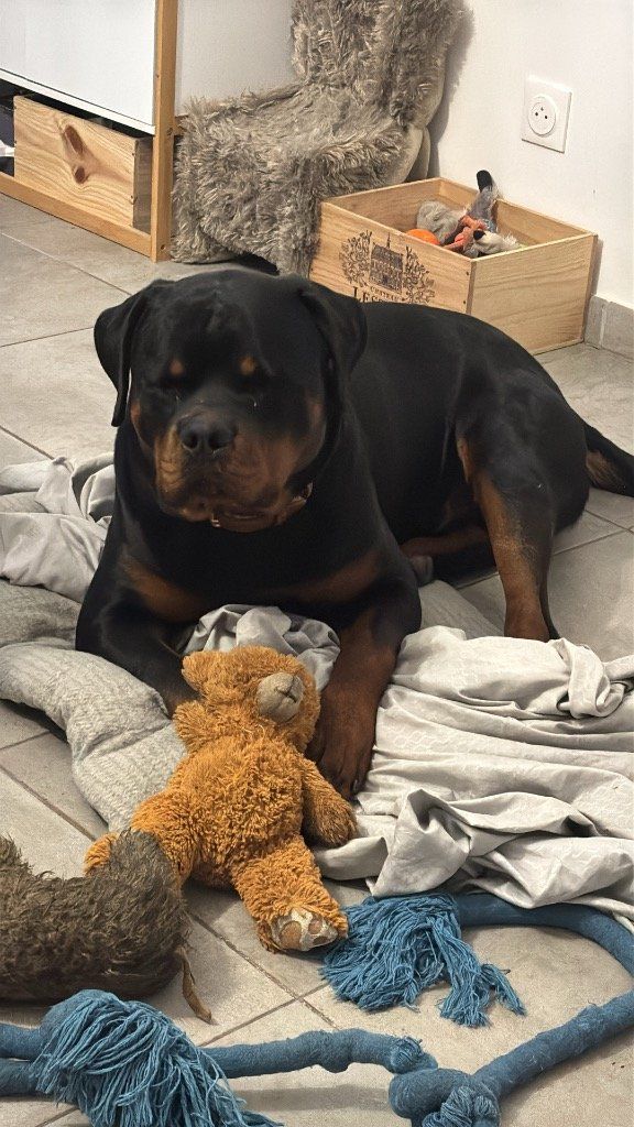 Nounouss & cie (8 mois)