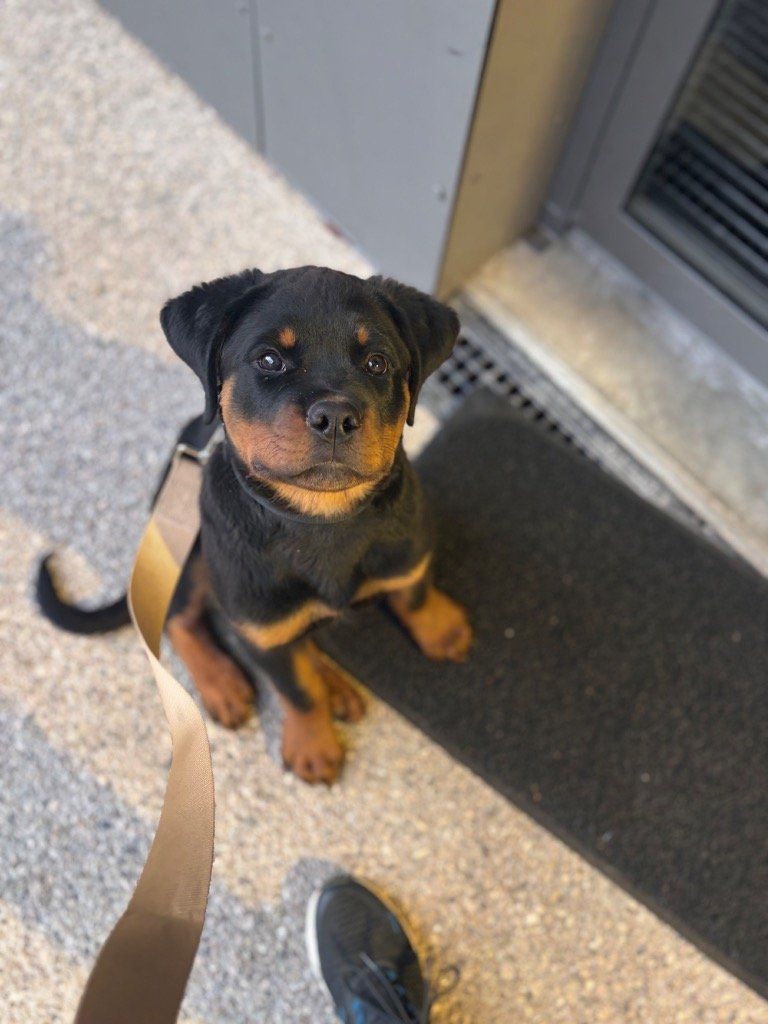 Petit bonhomme (3 mois)