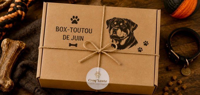 Box-toutou