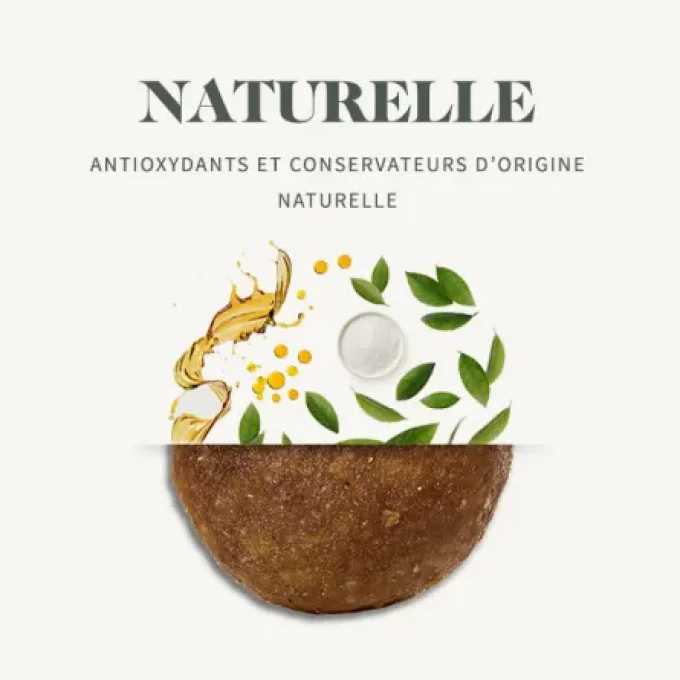 Babin LAB Chat adulte Boules de poils