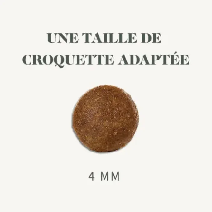 Bab'in Signature Chaton Poulet