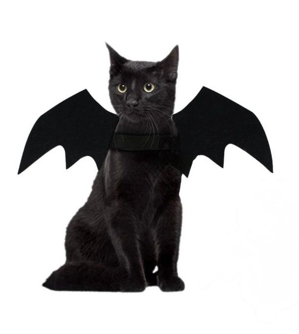 DEGUISEMENT CHAUVE-SOURIS VAMPIRE
