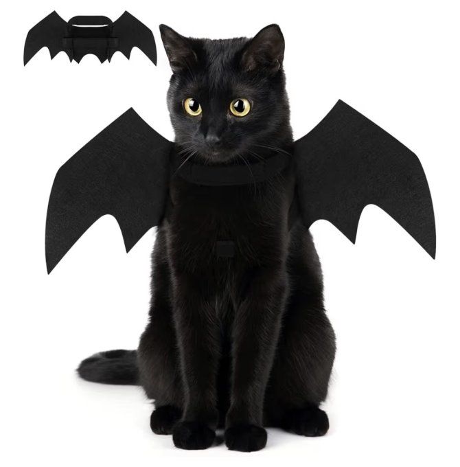 DEGUISEMENT CHAUVE-SOURIS VAMPIRE