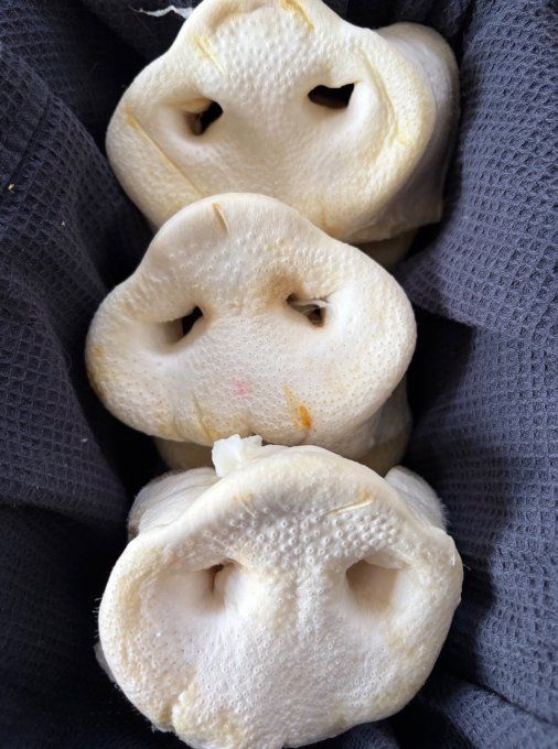 Museau de porc soufflé