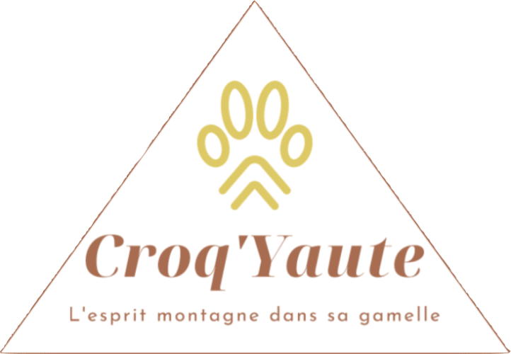 croqyaute.com