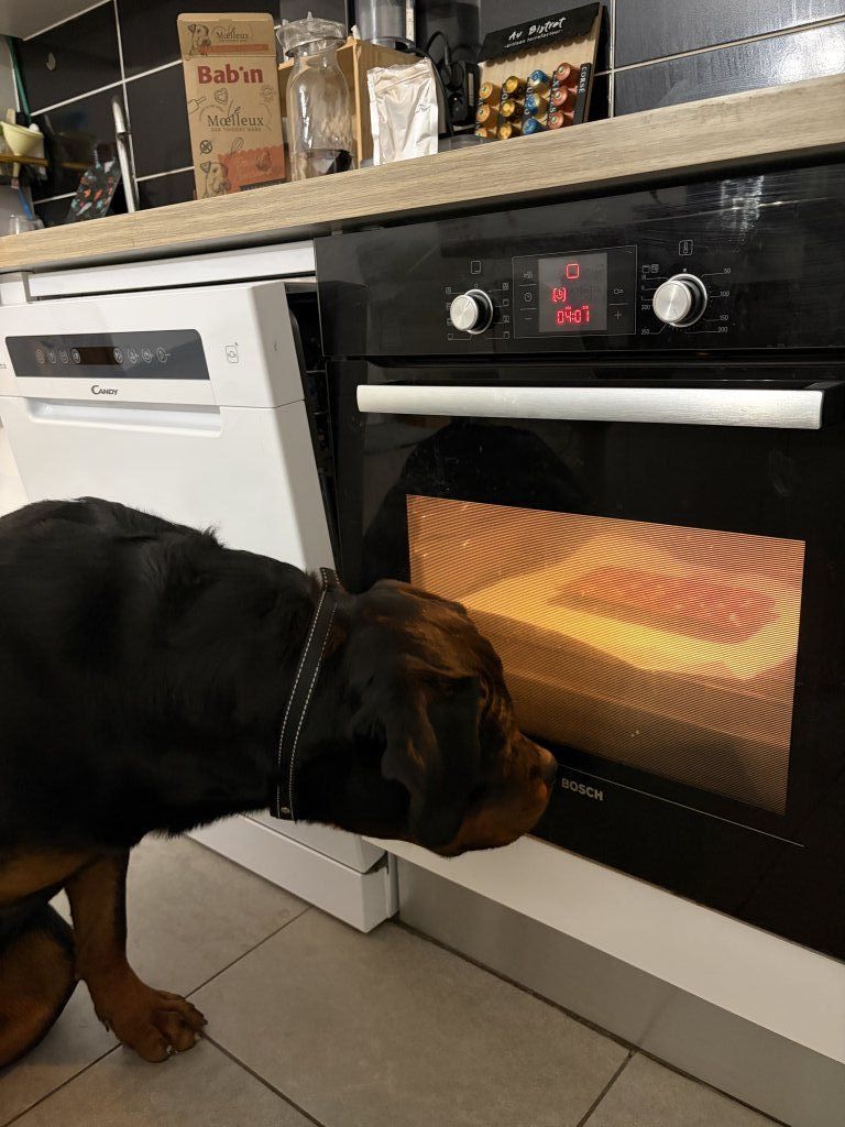 Alors les petits moelleux...