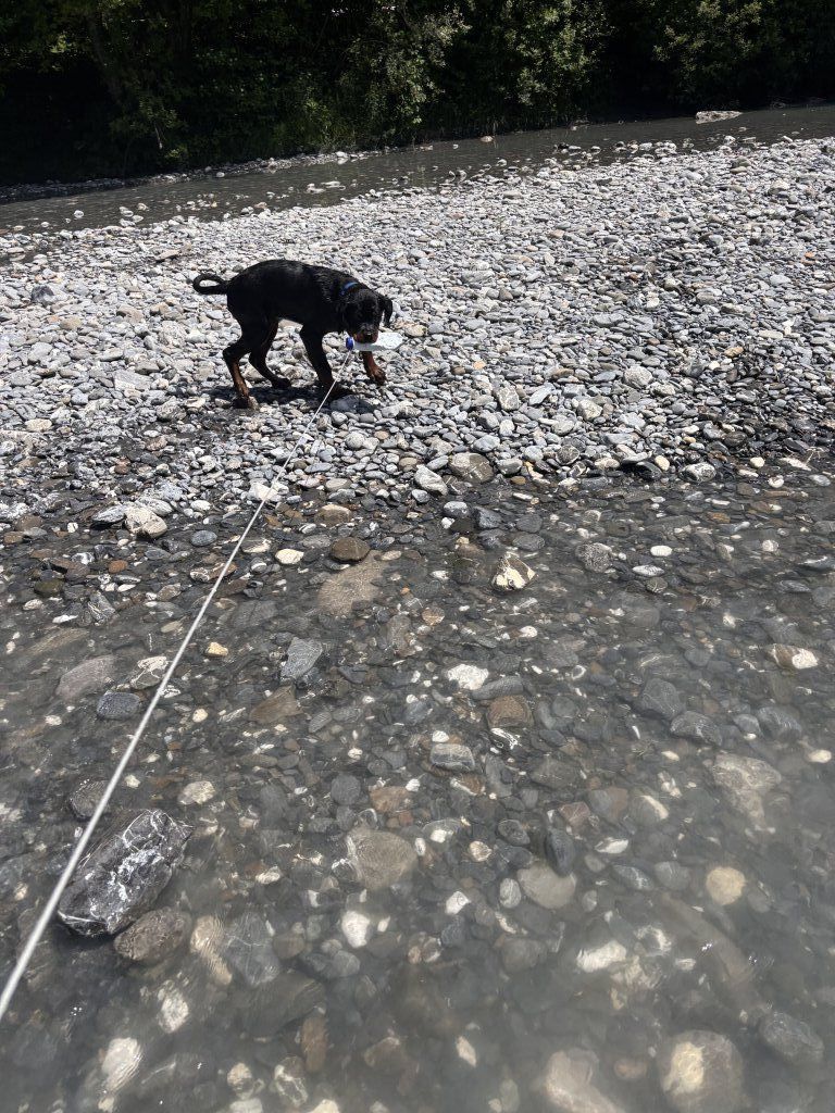 la rivière (6 mois)